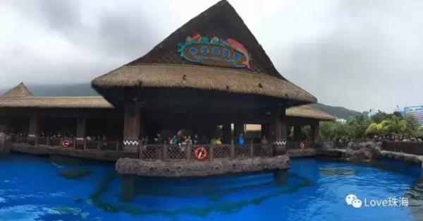 大批中華白海豚“亮相”港珠澳大橋、淇澳島海面