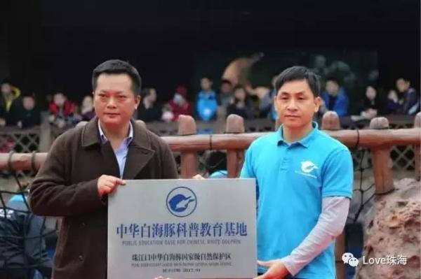 大批中華白海豚“亮相”港珠澳大橋、淇澳島海面